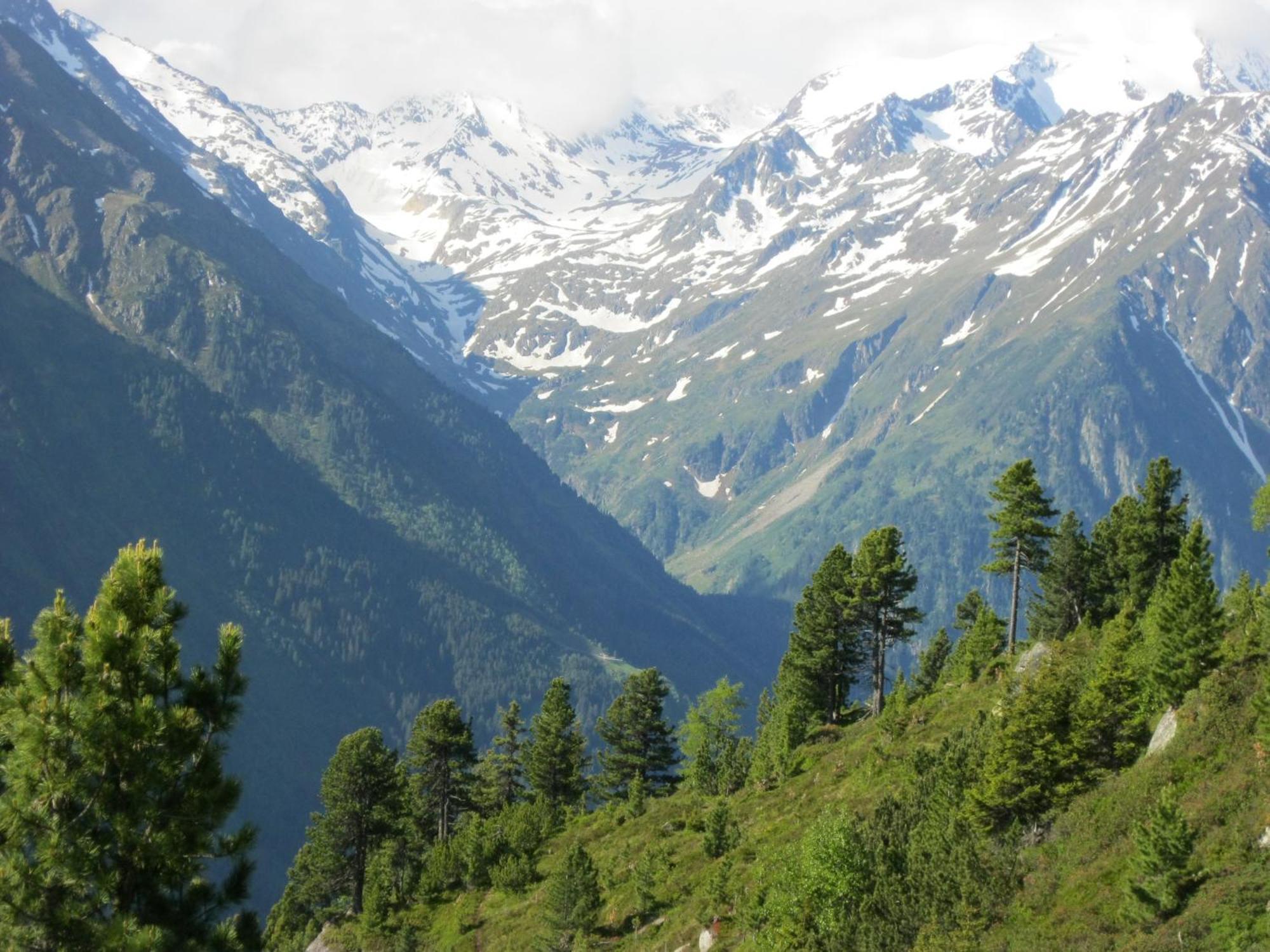Ferienhaus Stubai Neustift im Stubaital Exteriör bild