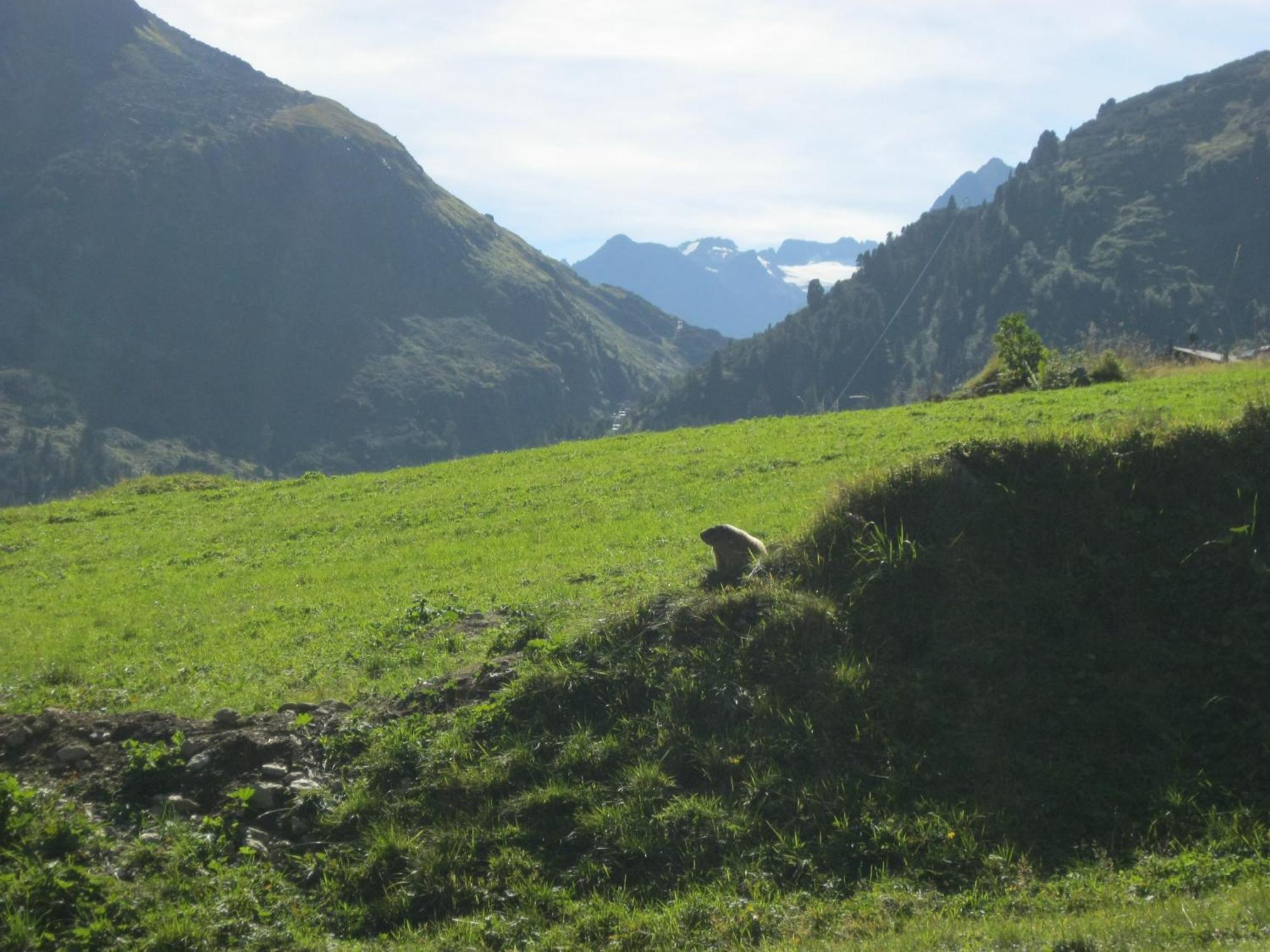 Ferienhaus Stubai Neustift im Stubaital Exteriör bild